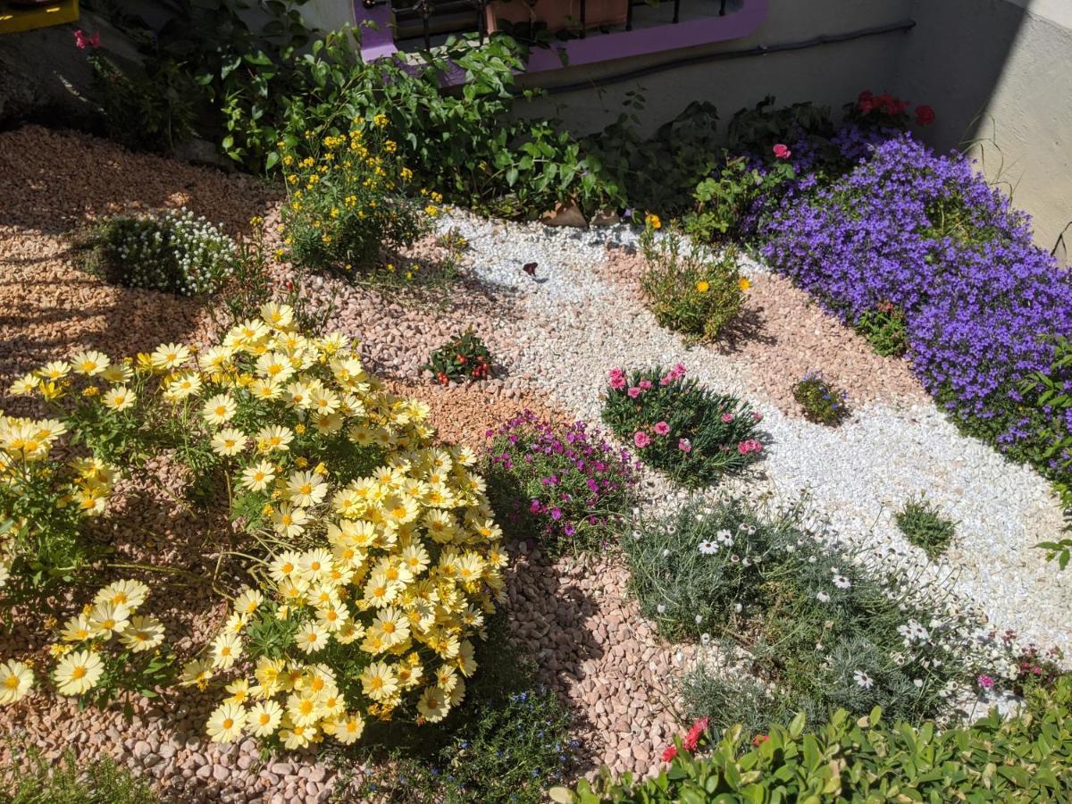 Bed and Breakfast Nel Giardino Di Oz Форново-ди-Таро Экстерьер фото